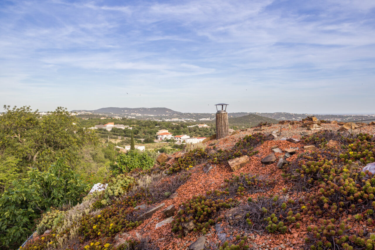 Green roof in the Algarve