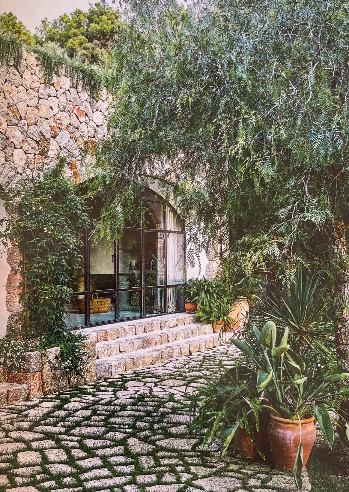 Algarve jungle house design