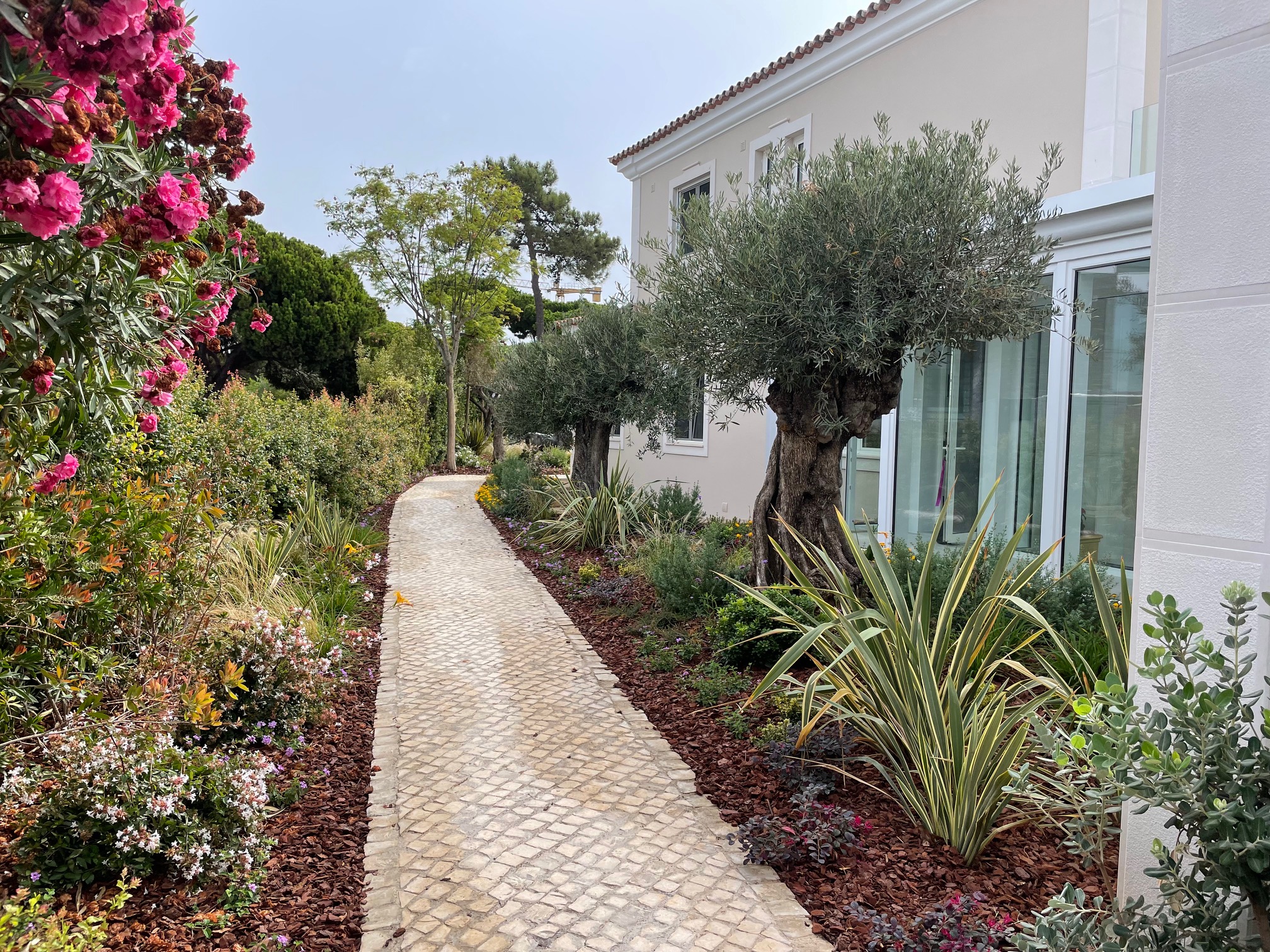 Algarve garden low maintenance